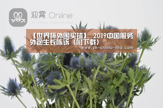 世界杯投注