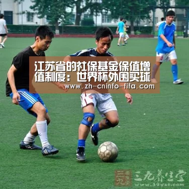 江苏省的社保基金保值增值制度:世界杯外围买球(图3) 世界杯外围买球