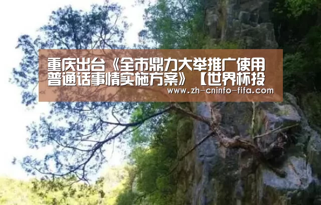 世界杯买球网站