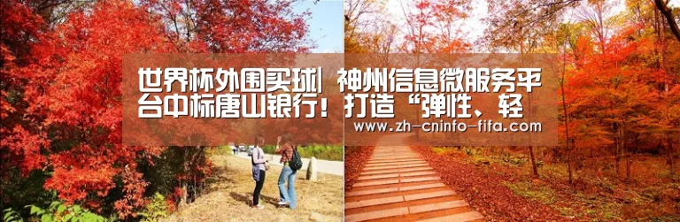 世界杯外围买球|
神州信息微服务平台中标唐山银行!打造“弹性、轻灵、云化”微服务中台(图2) 世界杯外围买球