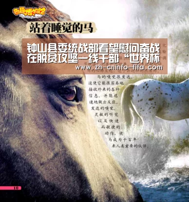 钟山县委统战部看望慰问奋战在脱贫攻坚一线干部“世界杯外围买球”(图1) 世界杯外围买球
