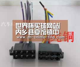 世界杯买球网站|内乡县夏馆镇中心幼儿园:大手拉小手,助力脱贫暖人心(图3) 世界杯买球网站