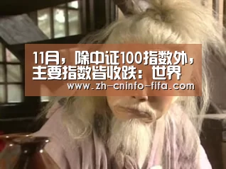 11月,除中证100指数外,主要指数皆收跌:世界杯买球网站(图1) 2026世界杯