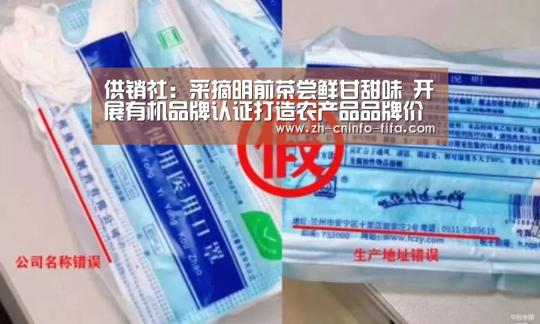 供销社:采摘明前茶尝鲜甘甜味 开展有机品牌认证打造农产品品牌价值【2026世界杯】(图2) 2026世界杯